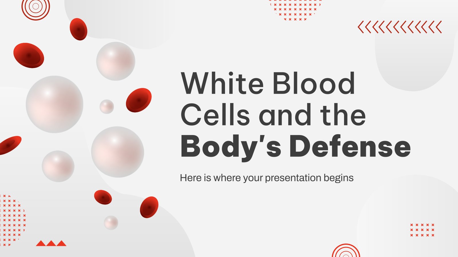 white-blood-cells-and-the-bodys-defense1685517135.jpg